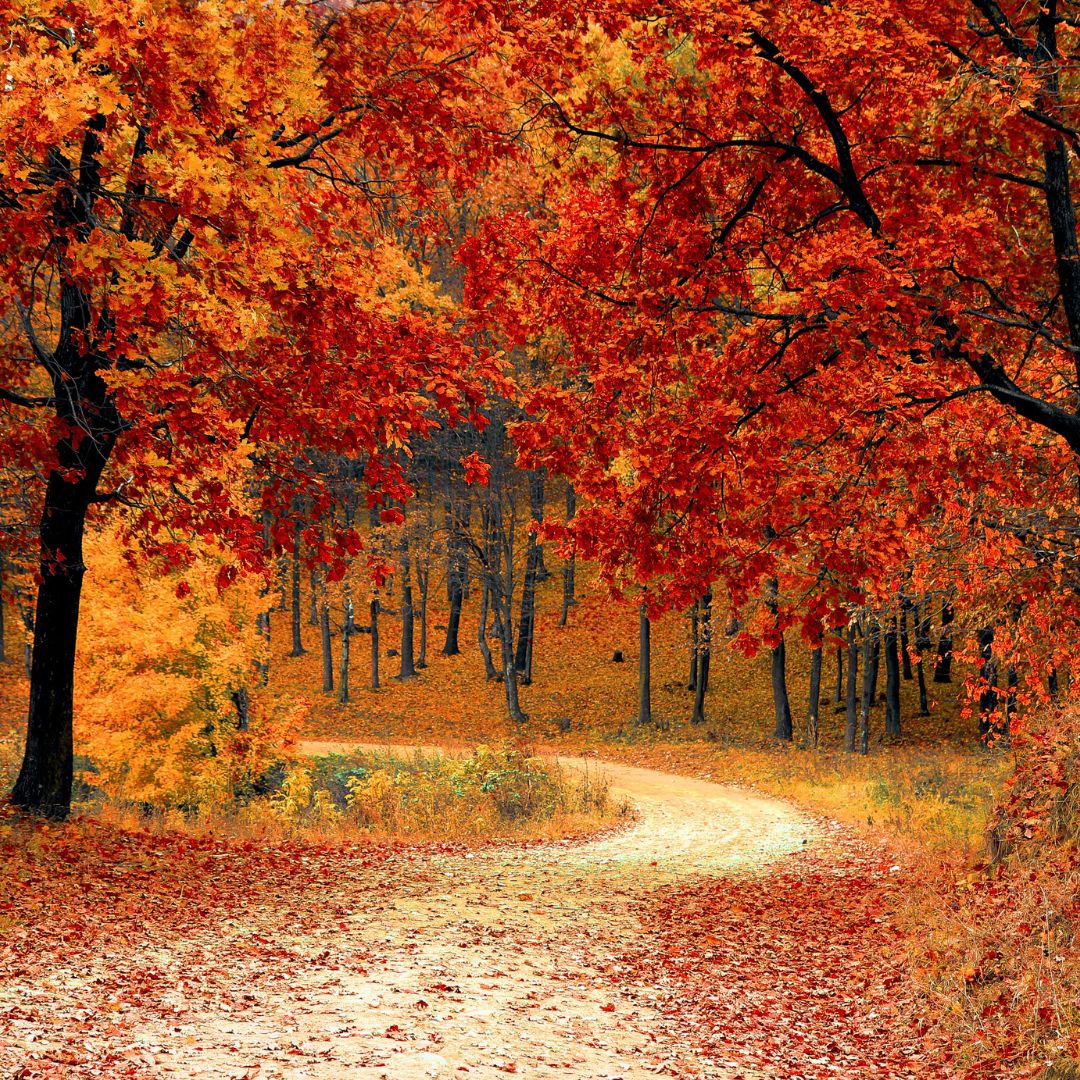 8/25/15: How to Set Your Social Selling Business Up for Fall Success
