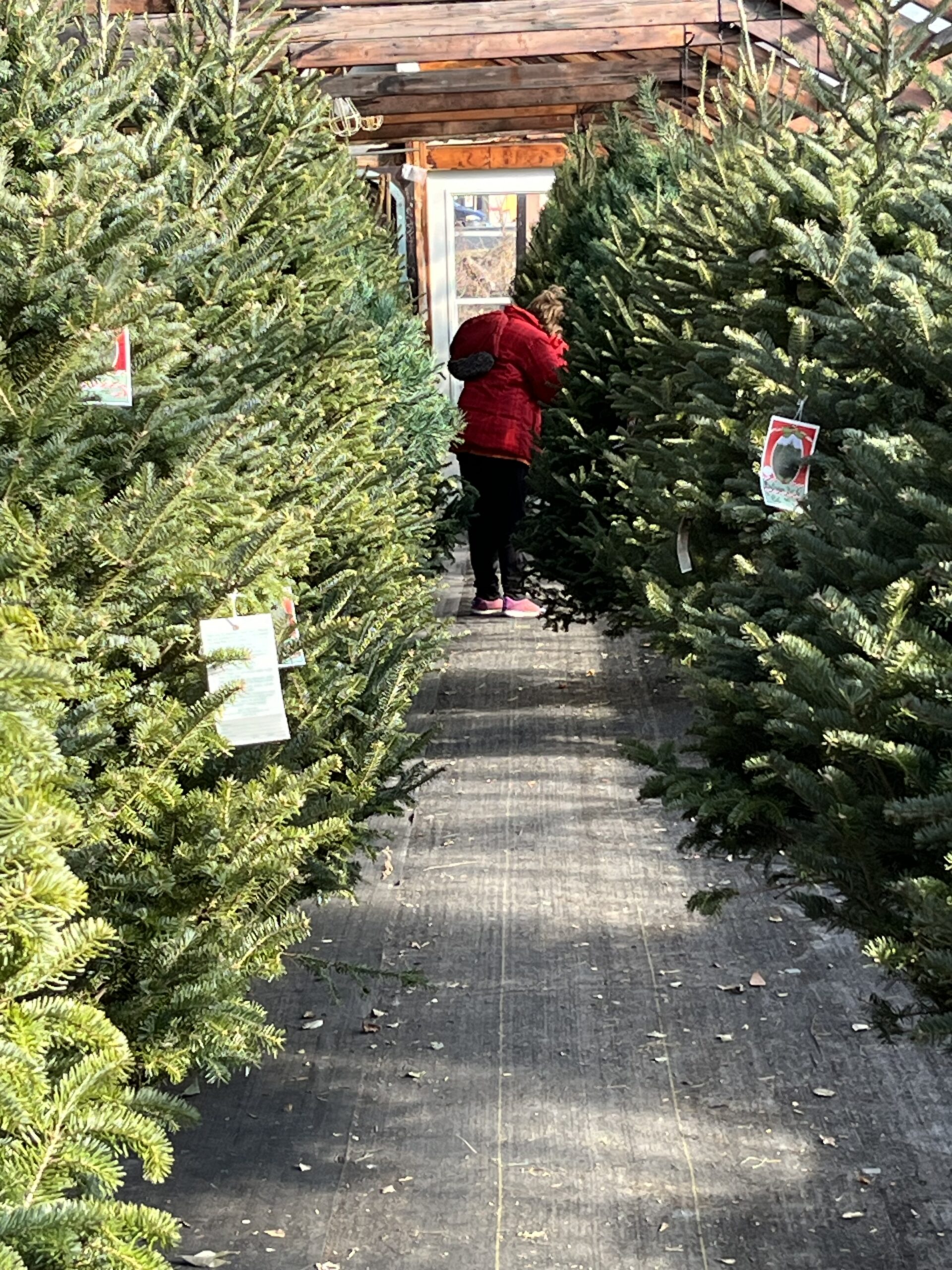 11/17/25: How to Protect Your Time, Money, and Mental Health During the Holidays